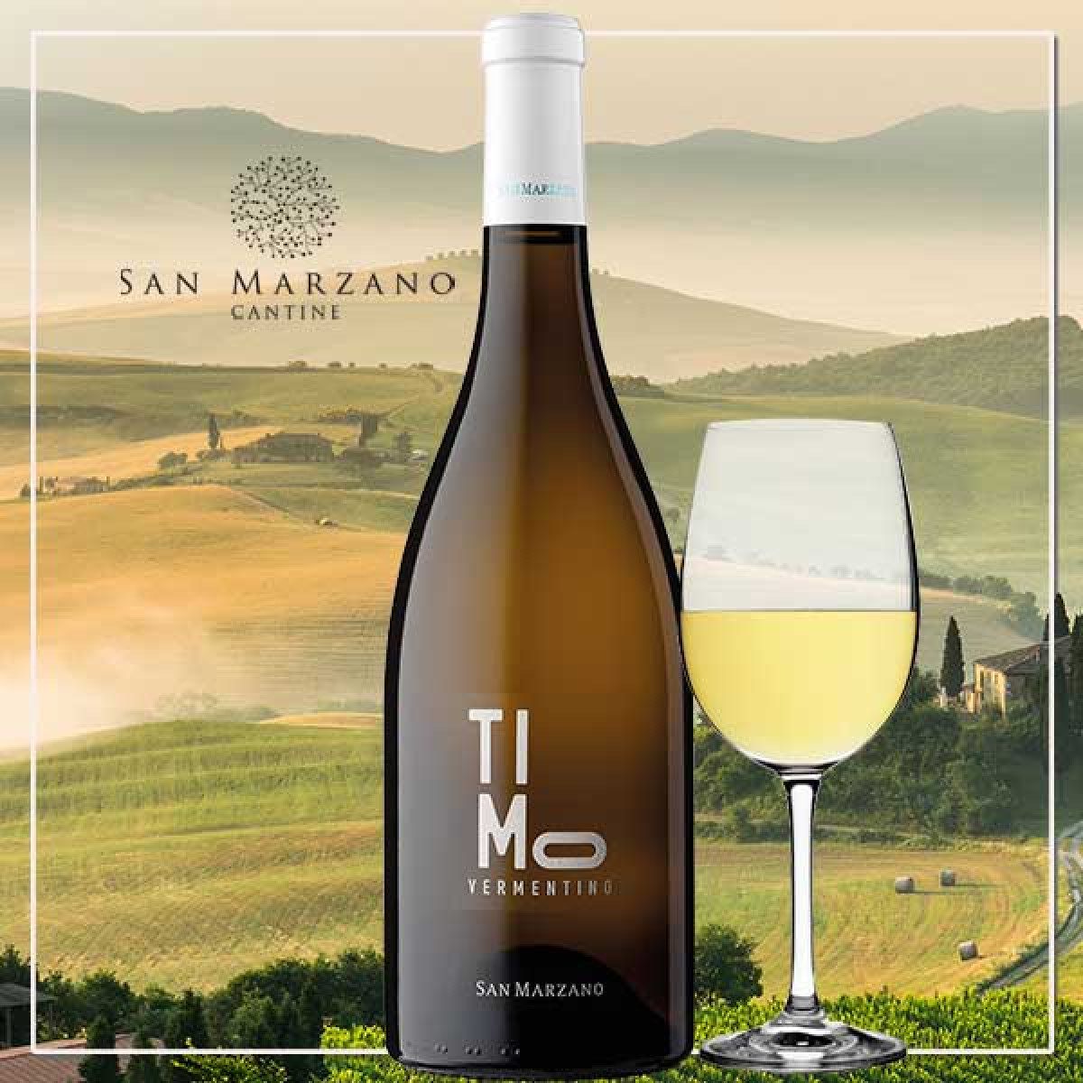 Vermentino Timo Salento IGP - Cantine San Marzano